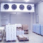 WhatsApp Image 2025-03-30 at 15.52.20_179bd27d