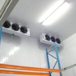 WhatsApp Image 2025-03-30 at 15.52.21_e4aa4006